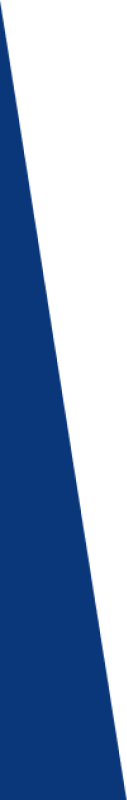 shape 1